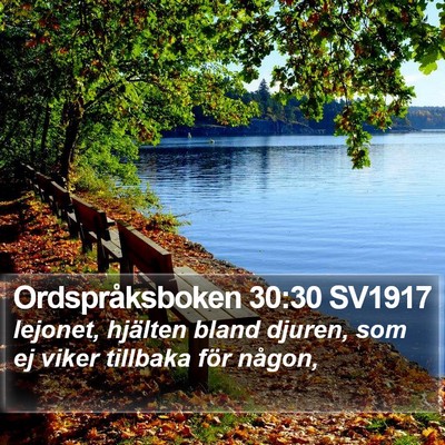 Ordspråksboken 30:30 SV1917 Bible Verse Image