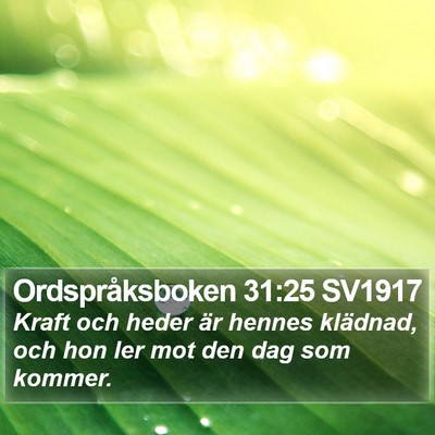 Ordspråksboken 31:25 SV1917 Bible Verse Image