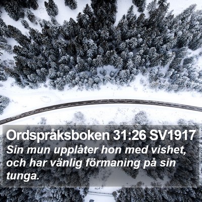 Ordspråksboken 31:26 SV1917 Bible Verse Image