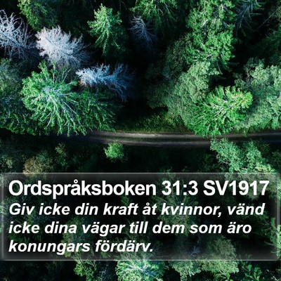 Ordspråksboken 31:3 SV1917 Bible Verse Image