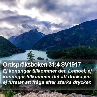 Ordspråksboken 31:4 SV1917 Bible Verse Image