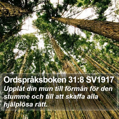 Ordspråksboken 31:8 SV1917 Bible Verse Image