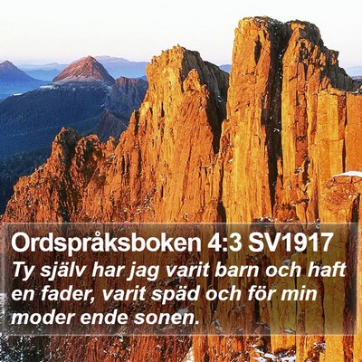 Ordspråksboken 4:3 SV1917 Bible Verse Image