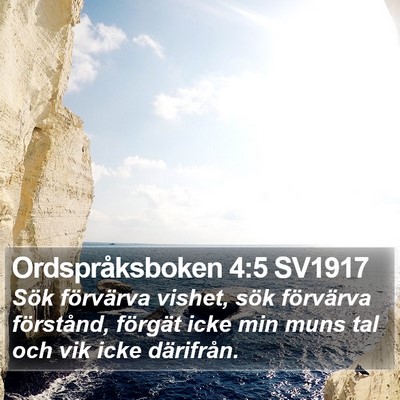 Ordspråksboken 4:5 SV1917 Bible Verse Image
