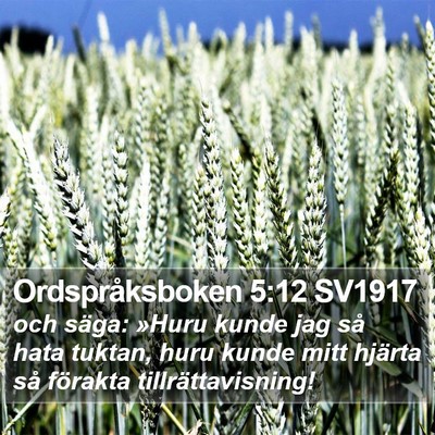 Ordspråksboken 5:12 SV1917 Bible Verse Image