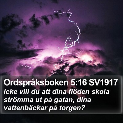 Ordspråksboken 5:16 SV1917 Bible Verse Image
