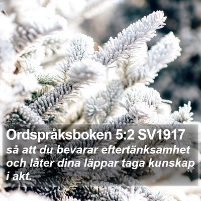 Ordspråksboken 5:2 SV1917 Bible Verse Image