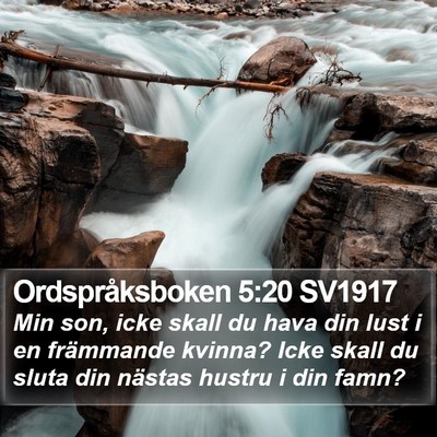 Ordspråksboken 5:20 SV1917 Bible Verse Image
