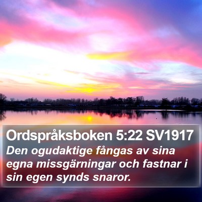 Ordspråksboken 5:22 SV1917 Bible Verse Image