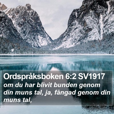 Ordspråksboken 6:2 SV1917 Bible Verse Image