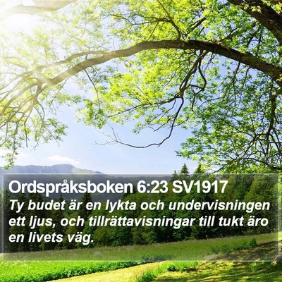 Ordspråksboken 6:23 SV1917 Bible Verse Image