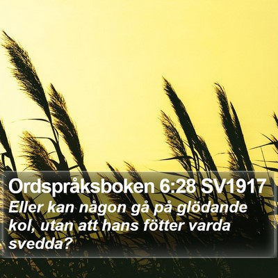 Ordspråksboken 6:28 SV1917 Bible Verse Image
