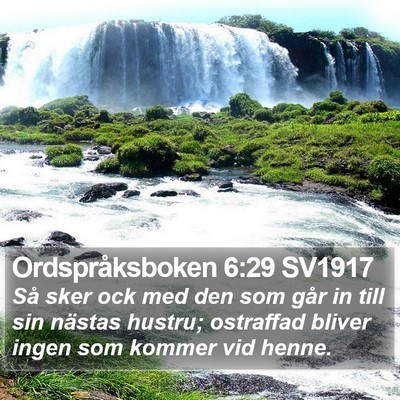 Ordspråksboken 6:29 SV1917 Bible Verse Image