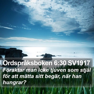 Ordspråksboken 6:30 SV1917 Bible Verse Image