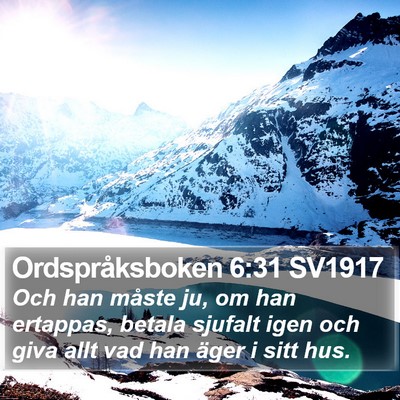 Ordspråksboken 6:31 SV1917 Bible Verse Image