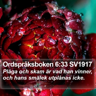 Ordspråksboken 6:33 SV1917 Bible Verse Image