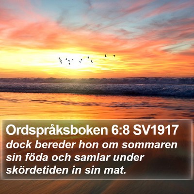 Ordspråksboken 6:8 SV1917 Bible Verse Image