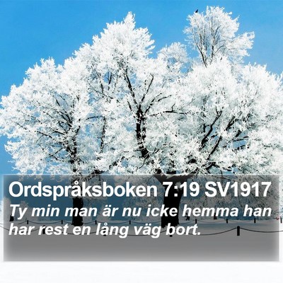 Ordspråksboken 7:19 SV1917 Bible Verse Image