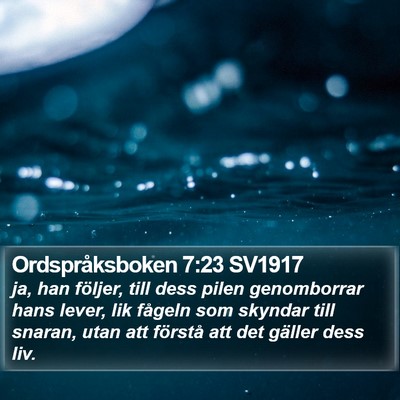 Ordspråksboken 7:23 SV1917 Bible Verse Image