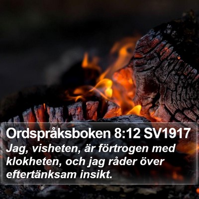 Ordspråksboken 8:12 SV1917 Bible Verse Image