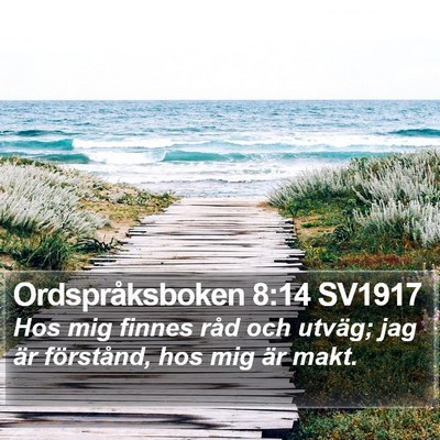 Ordspråksboken 8:14 SV1917 Bible Verse Image