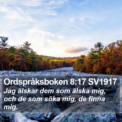 Ordspråksboken 8:17 SV1917 Bible Verse Image