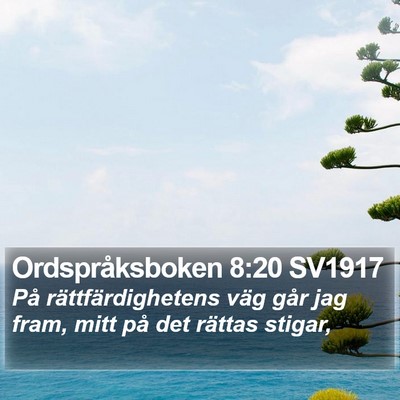 Ordspråksboken 8:20 SV1917 Bible Verse Image