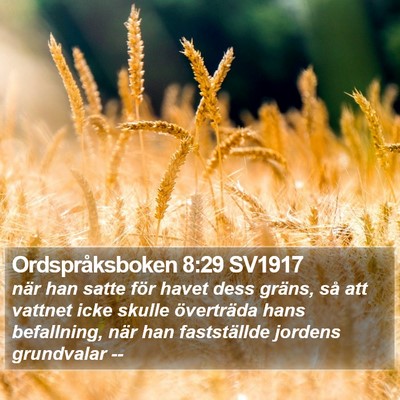 Ordspråksboken 8:29 SV1917 Bible Verse Image