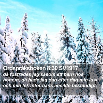 Ordspråksboken 8:30 SV1917 Bible Verse Image