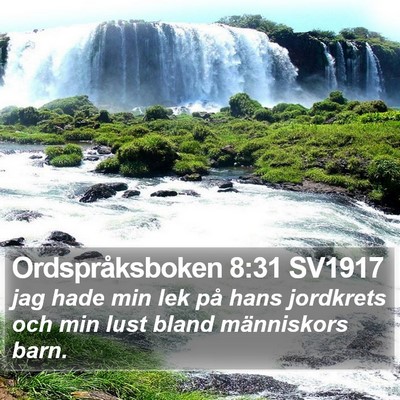 Ordspråksboken 8:31 SV1917 Bible Verse Image