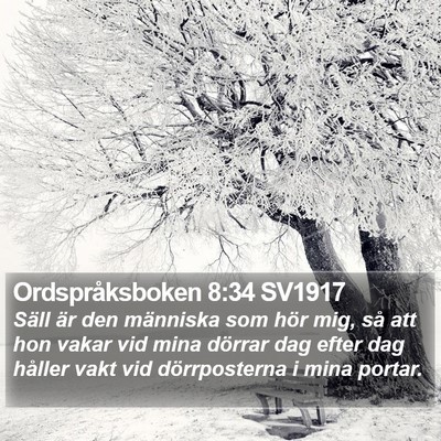 Ordspråksboken 8:34 SV1917 Bible Verse Image