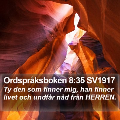 Ordspråksboken 8:35 SV1917 Bible Verse Image