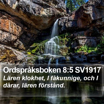 Ordspråksboken 8:5 SV1917 Bible Verse Image