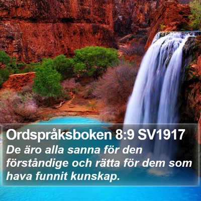 Ordspråksboken 8:9 SV1917 Bible Verse Image