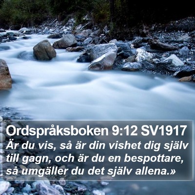 Ordspråksboken 9:12 SV1917 Bible Verse Image