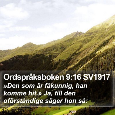 Ordspråksboken 9:16 SV1917 Bible Verse Image
