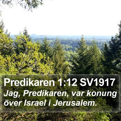 Predikaren 1:12 SV1917 Bible Verse Image