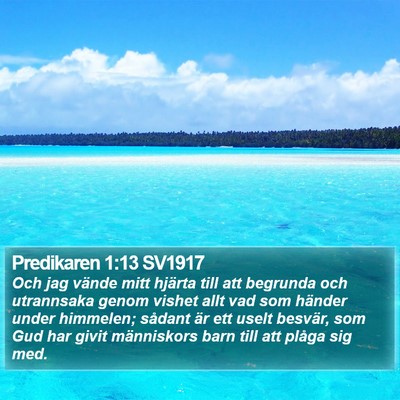 Predikaren 1:13 SV1917 Bible Verse Image