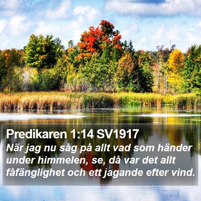 Predikaren 1:14 SV1917 Bible Verse Image