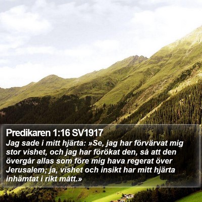 Predikaren 1:16 SV1917 Bible Verse Image