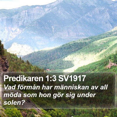 Predikaren 1:3 SV1917 Bible Verse Image