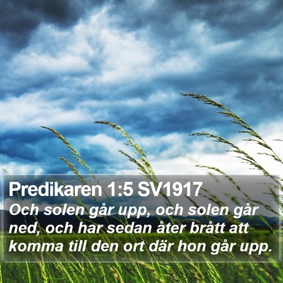 Predikaren 1:5 SV1917 Bible Verse Image