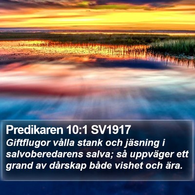 Predikaren 10:1 SV1917 Bible Verse Image