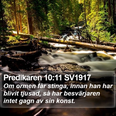 Predikaren 10:11 SV1917 Bible Verse Image