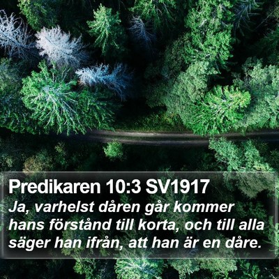 Predikaren 10:3 SV1917 Bible Verse Image