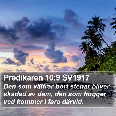 Predikaren 10:9 SV1917 Bible Verse Image