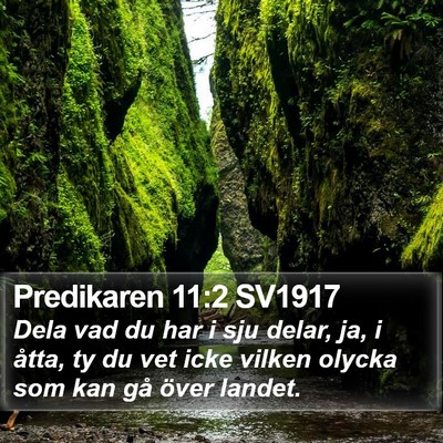 Predikaren 11:2 SV1917 Bible Verse Image