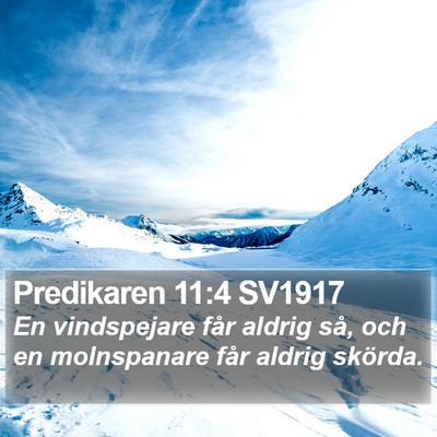 Predikaren 11:4 SV1917 Bible Verse Image