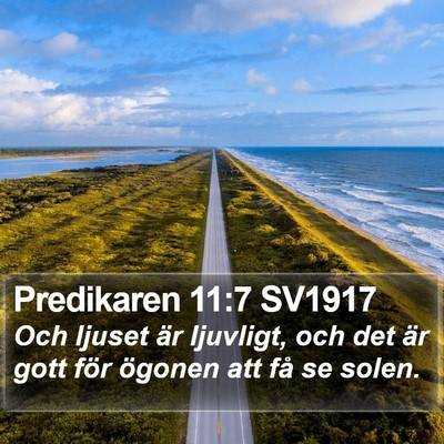 Predikaren 11:7 SV1917 Bible Verse Image