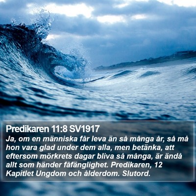 Predikaren 11:8 SV1917 Bible Verse Image